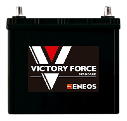 VICTORY FORCE STANDARD